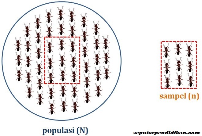 Pengertian Populasi Dan Sampel Serta Teknik Sampling