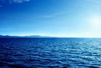 Jenis dan Manfaat Laut