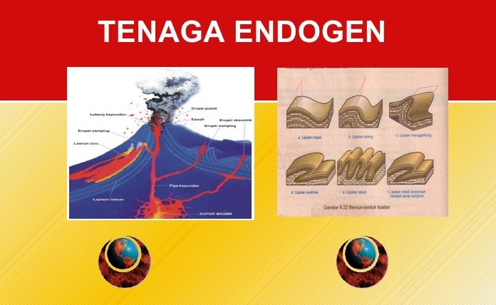 Macam-Macam Tenaga Endogen