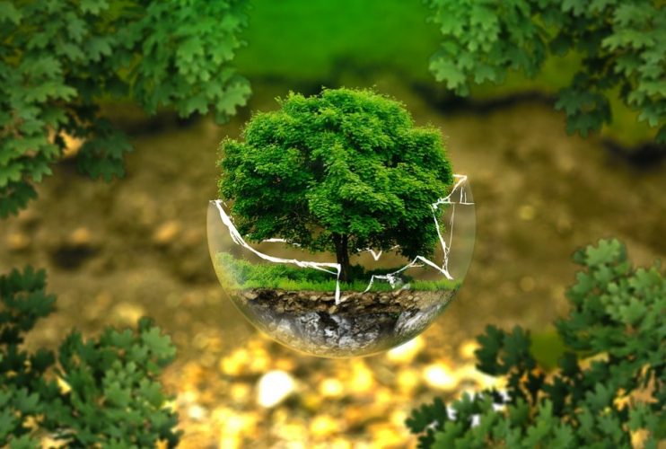 13 Pengertian Lingkungan Menurut Para Ahli