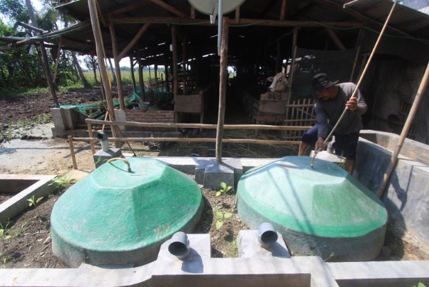 Cara Membuat Biogas Dari Kotoran Sapi dan Manfaatnya