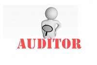Pengertian, Jenis, Tanggung Jawab, Prosedur dan Spesifikasi Auditor Terlengkap