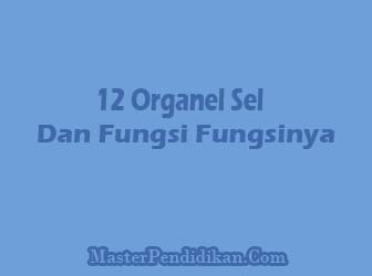 Organel-Sel