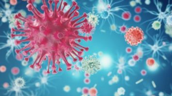 Virus Dikatakan Sebagai Metaorganisme