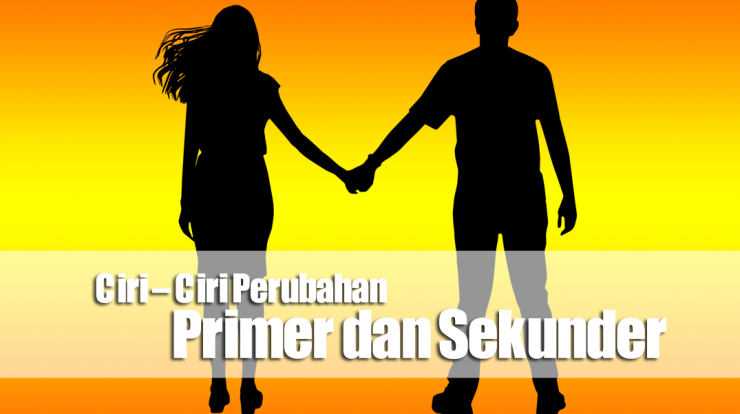 Ciri – Ciri Perubahan Primer dan Sekunder